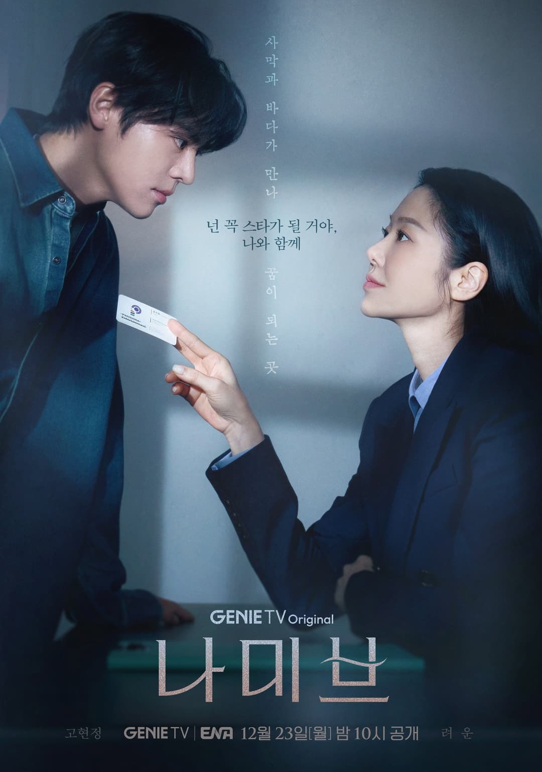 Poster di 나미브