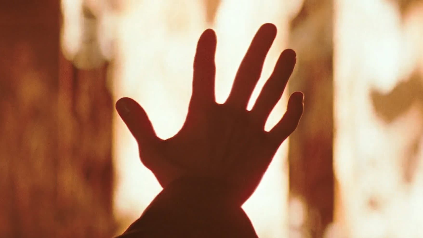 Il perito - immagine