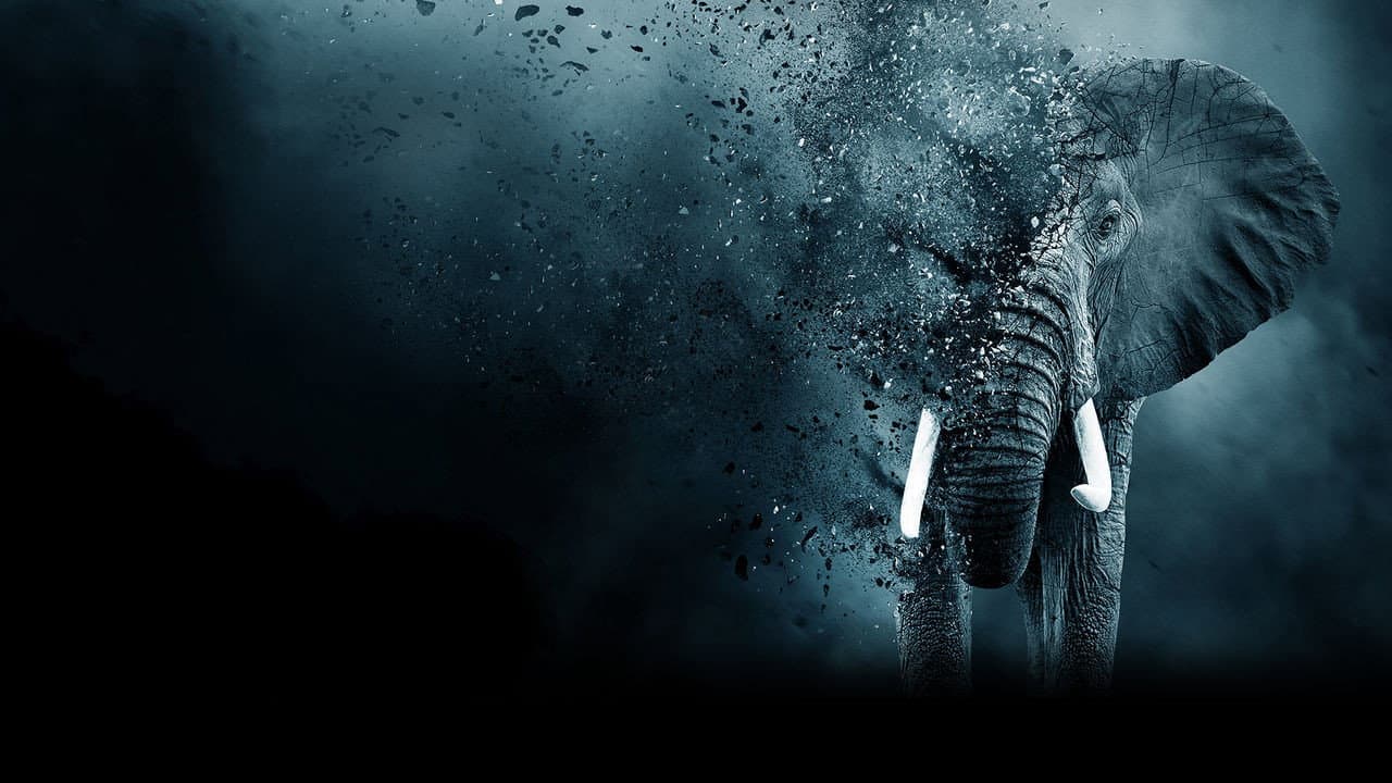 The Ivory Game - immagine