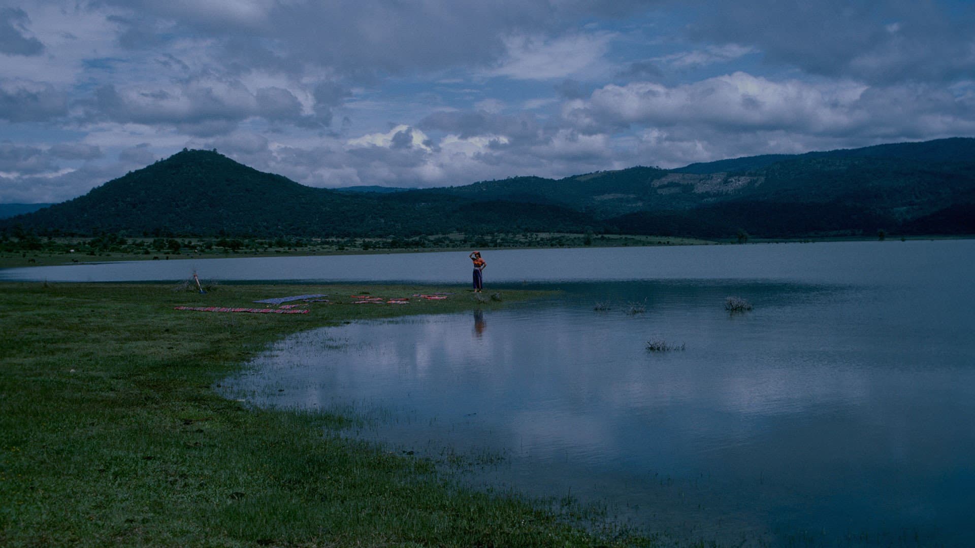 El Norte - immagine