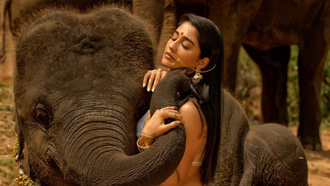 నక్షత్రం - immagine