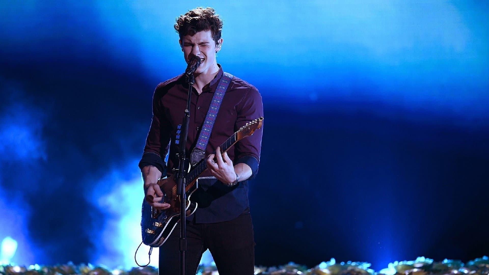 Shawn Mendes: Live in Concert - immagine