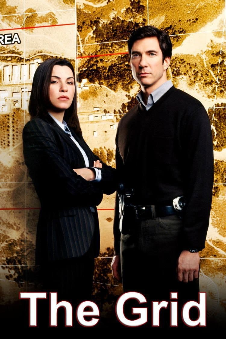 Poster di The Grid