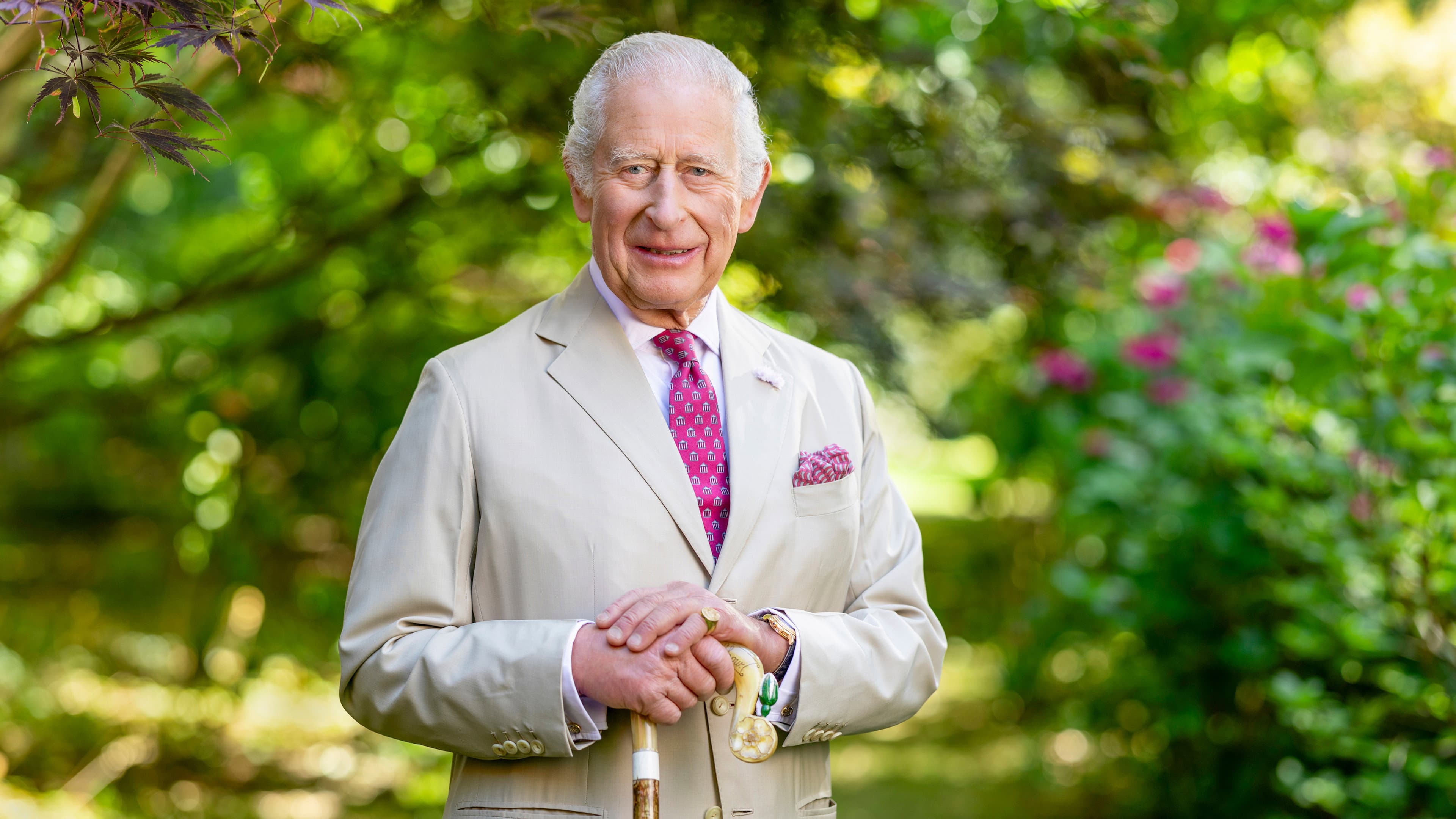Finding Harmony: A King's Vision - immagine