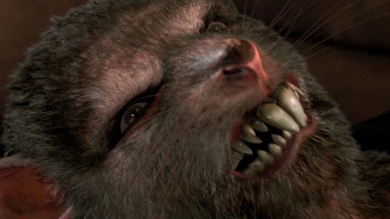 Ratpocalypse - immagine