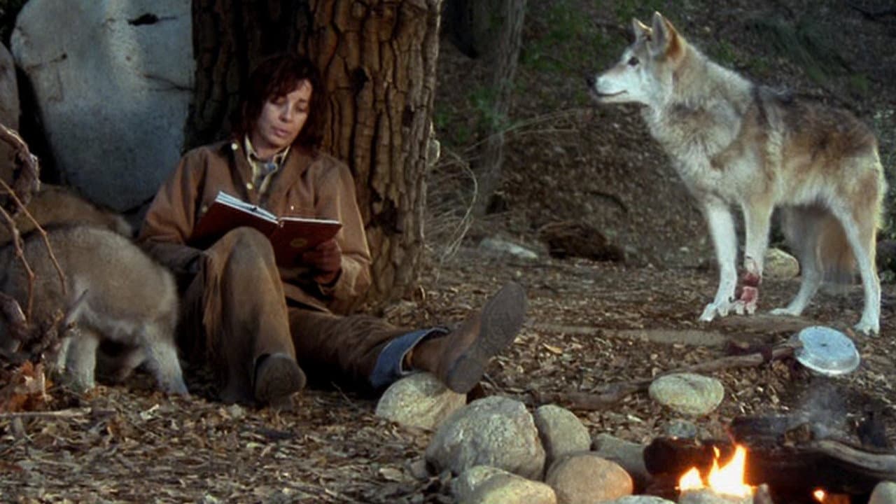 Night of the Wolf - immagine