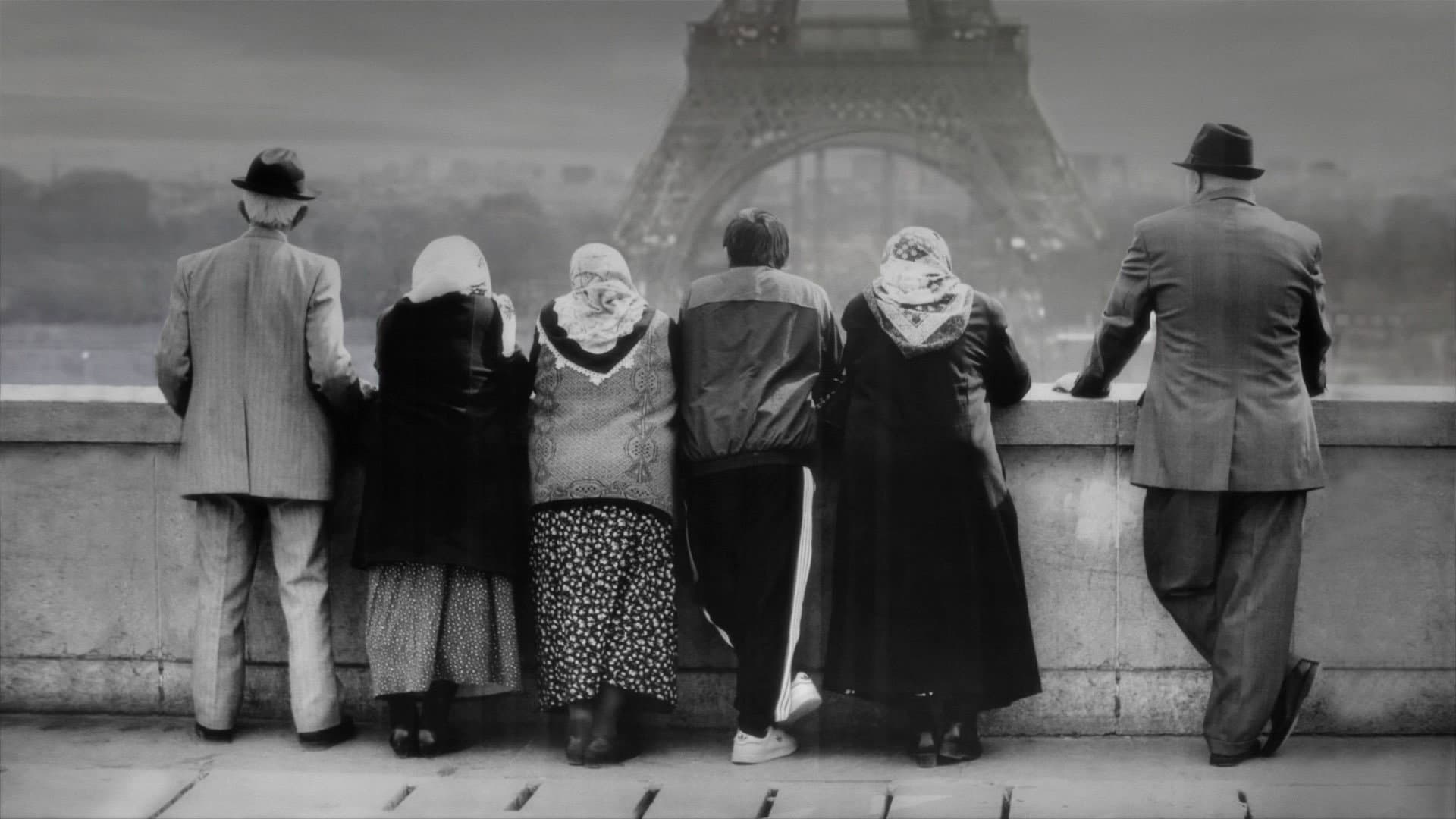 24 Frames - immagine