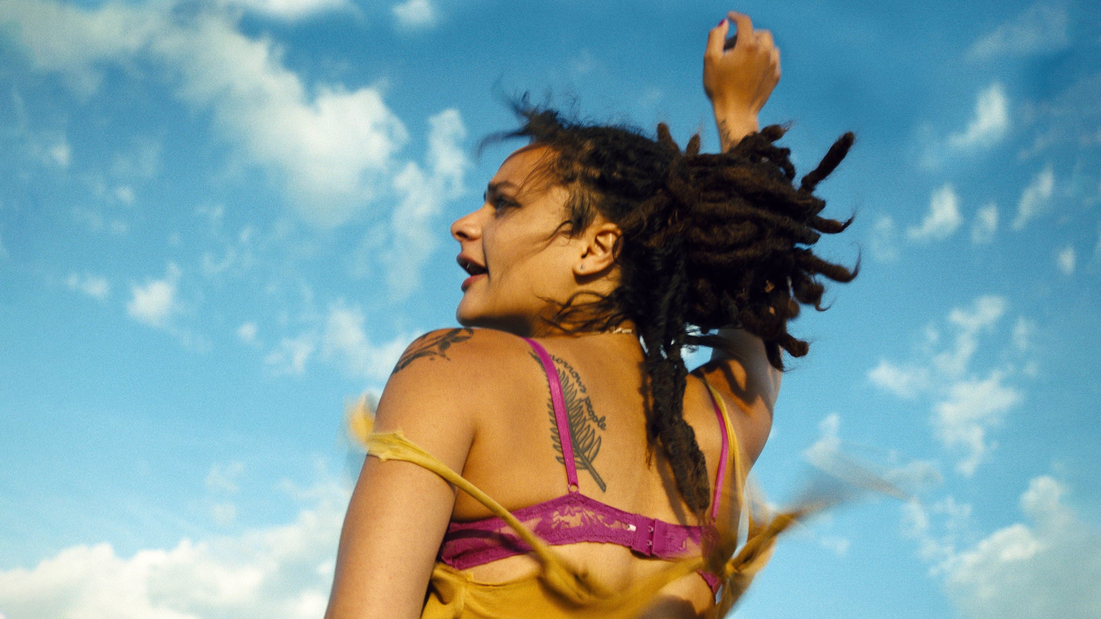 American Honey - immagine