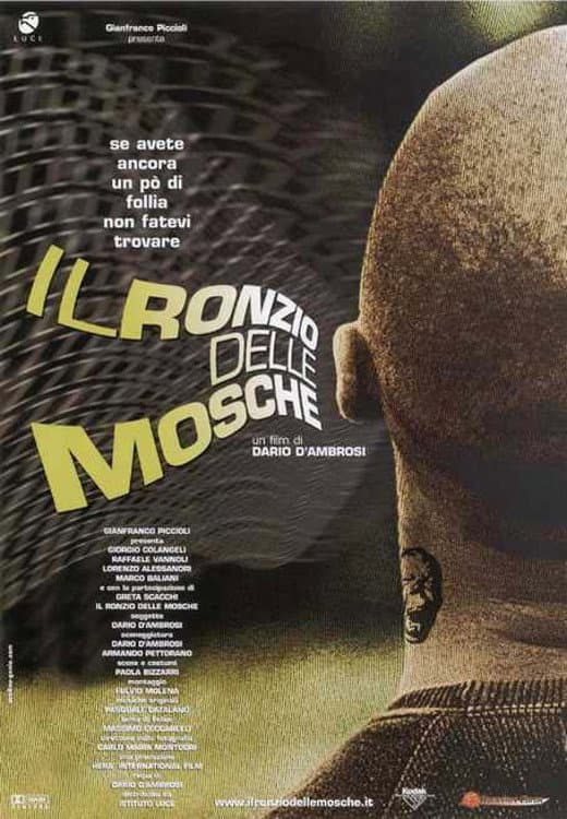 Poster di Il ronzio delle mosche