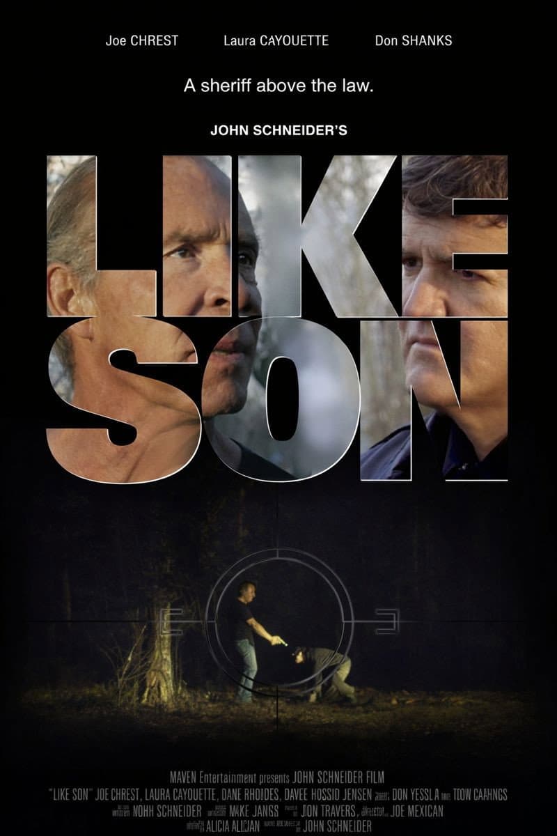 Poster di Like Son