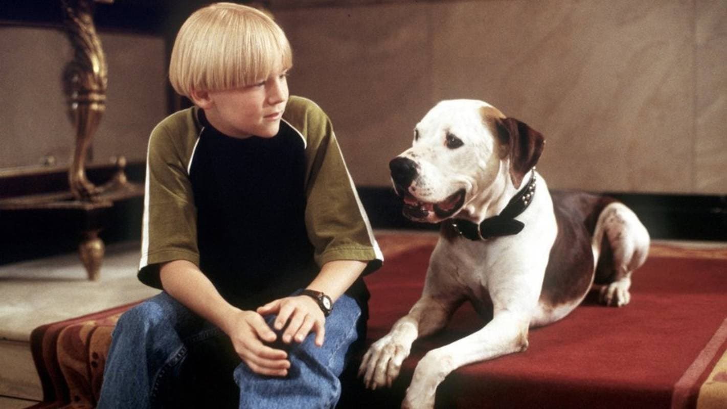 The Pooch and the Pauper - immagine