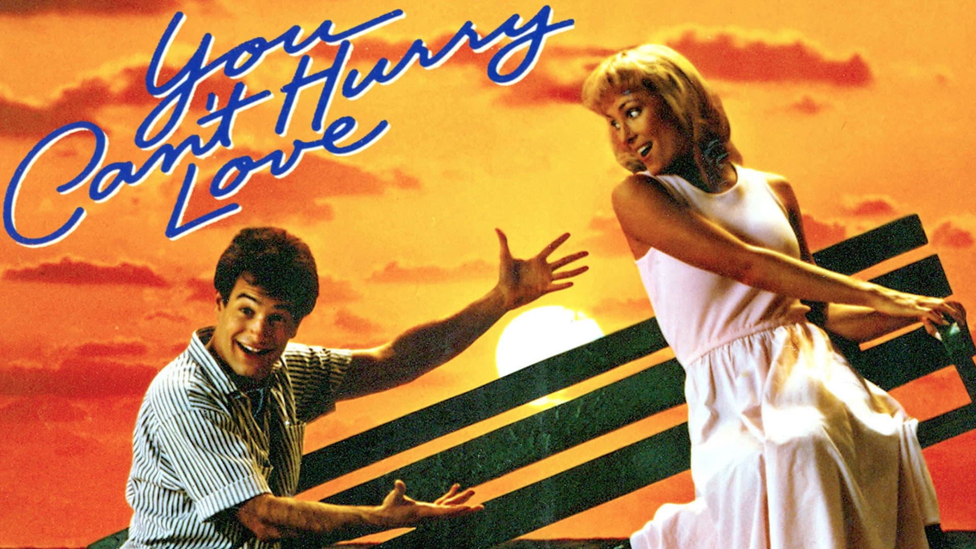 You Can't Hurry Love - immagine