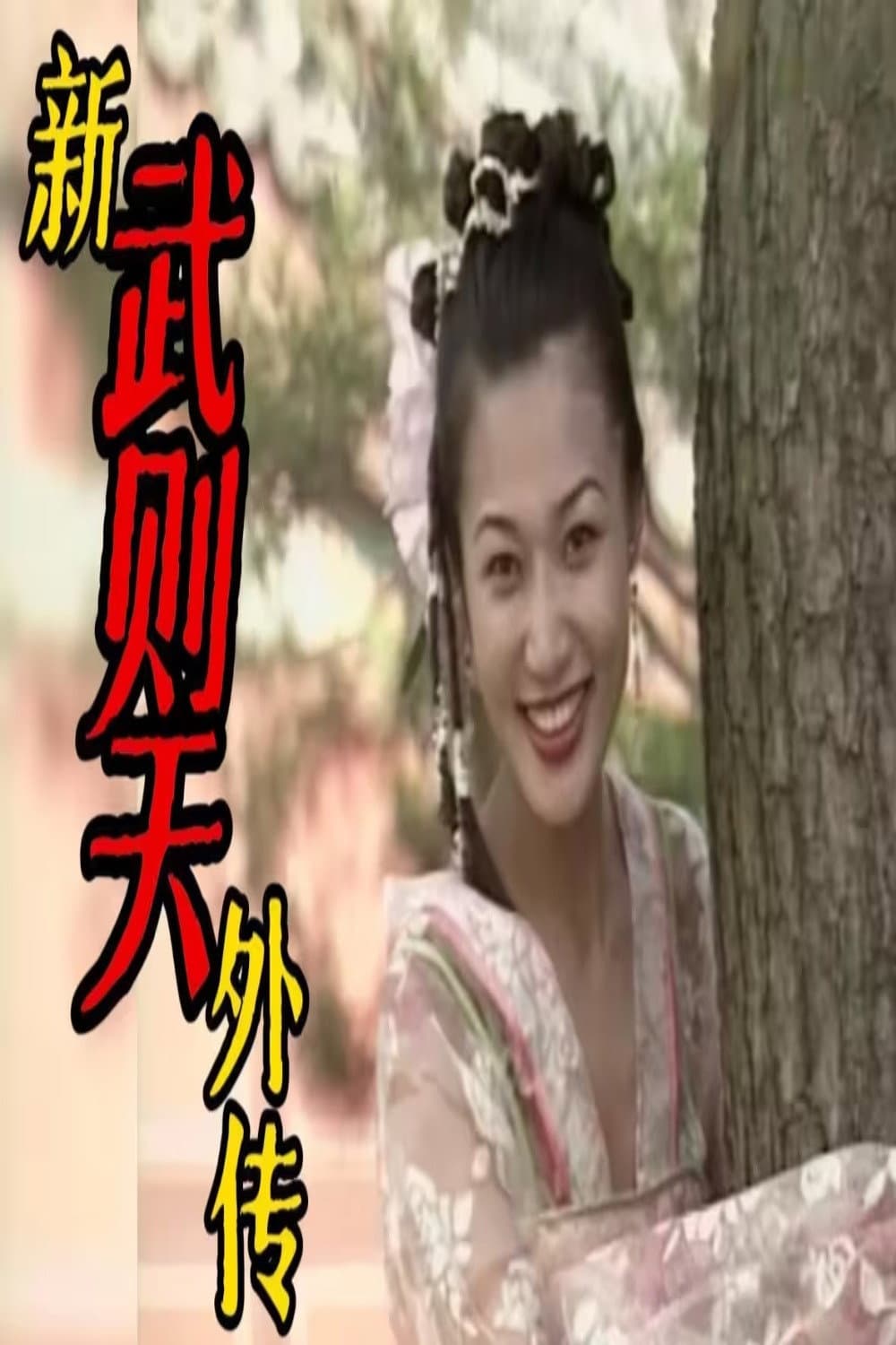 Poster di 新武则天外传