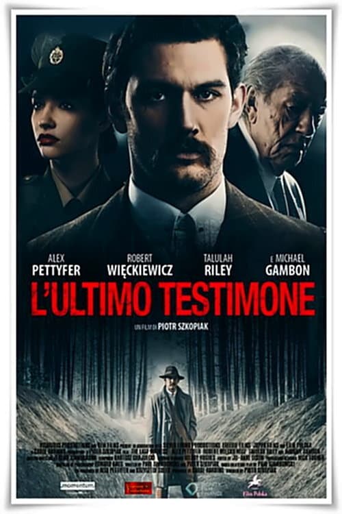 Poster di L'ultimo testimone