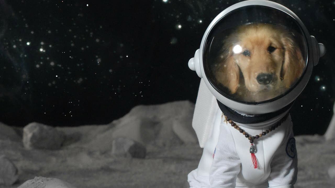 Supercuccioli nello spazio - immagine