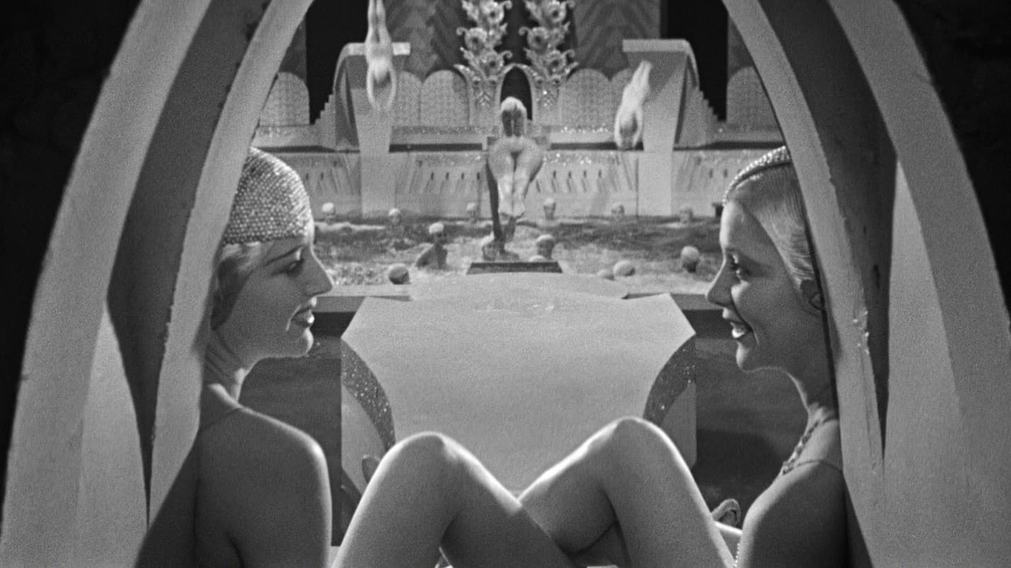 Viva le donne - immagine