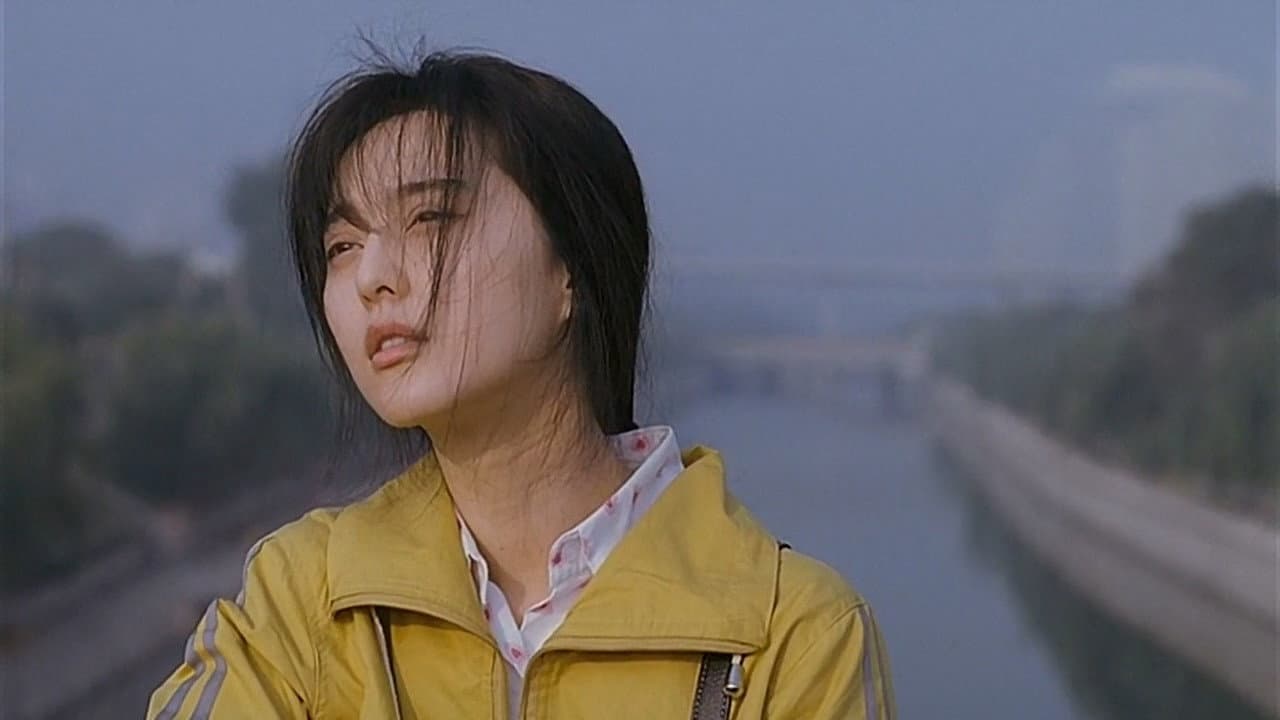 lost in beijing - immagine