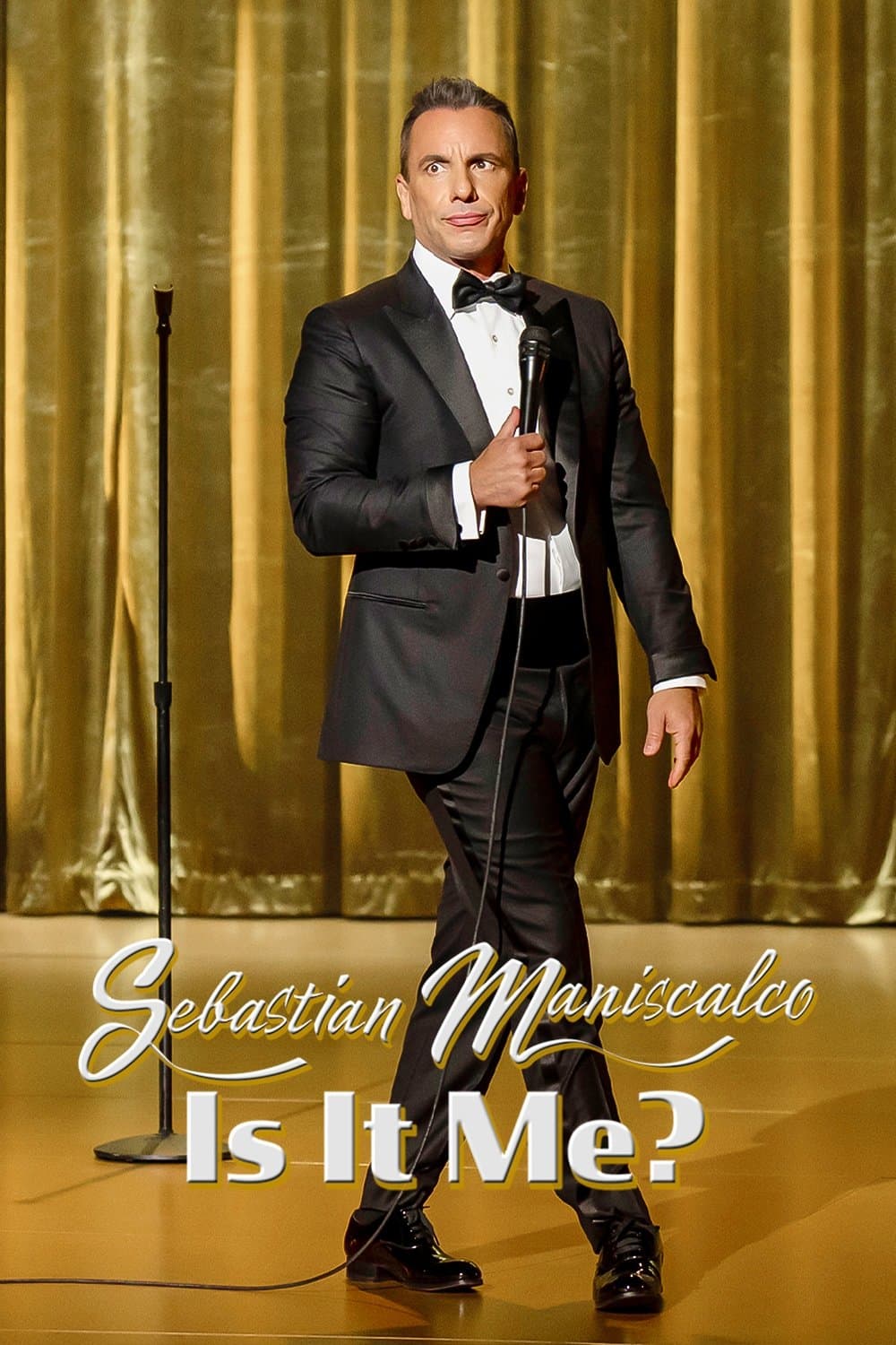 Poster di Sebastian Maniscalco: Is it Me?