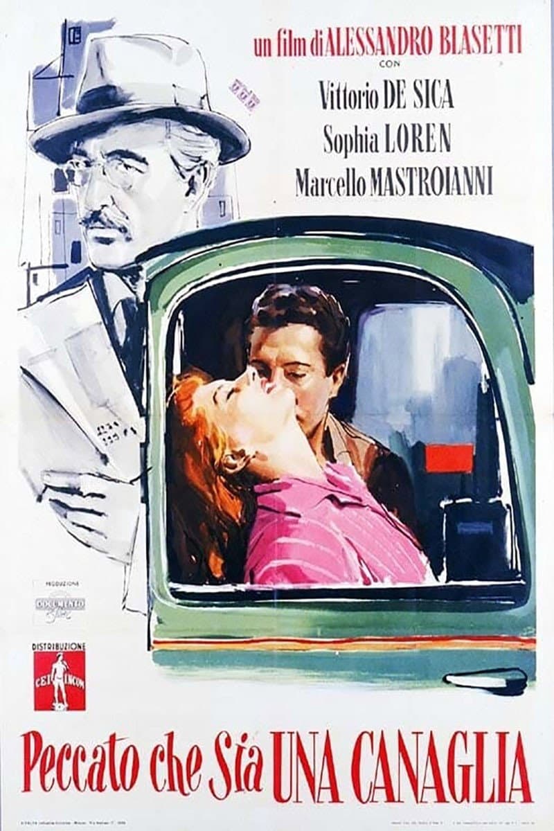 Poster di Peccato che sia una canaglia