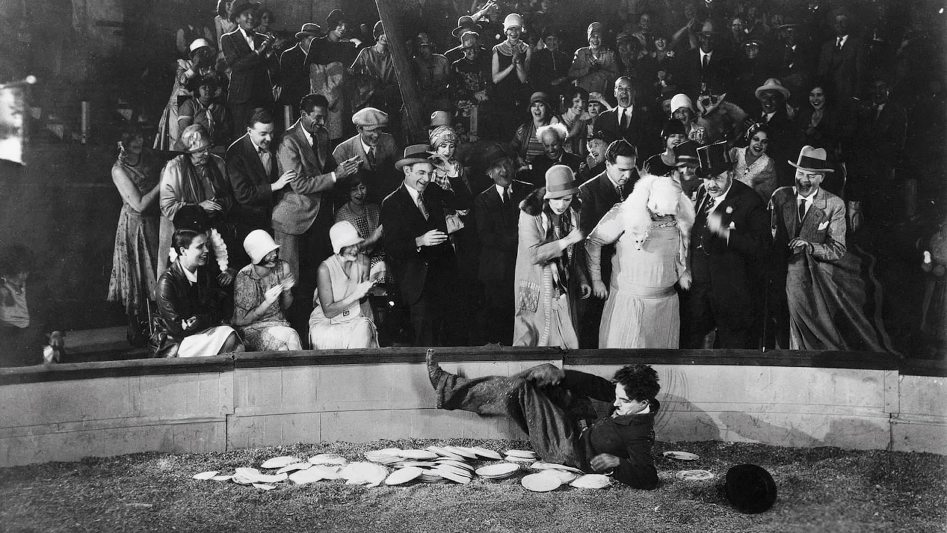 Il circo - immagine