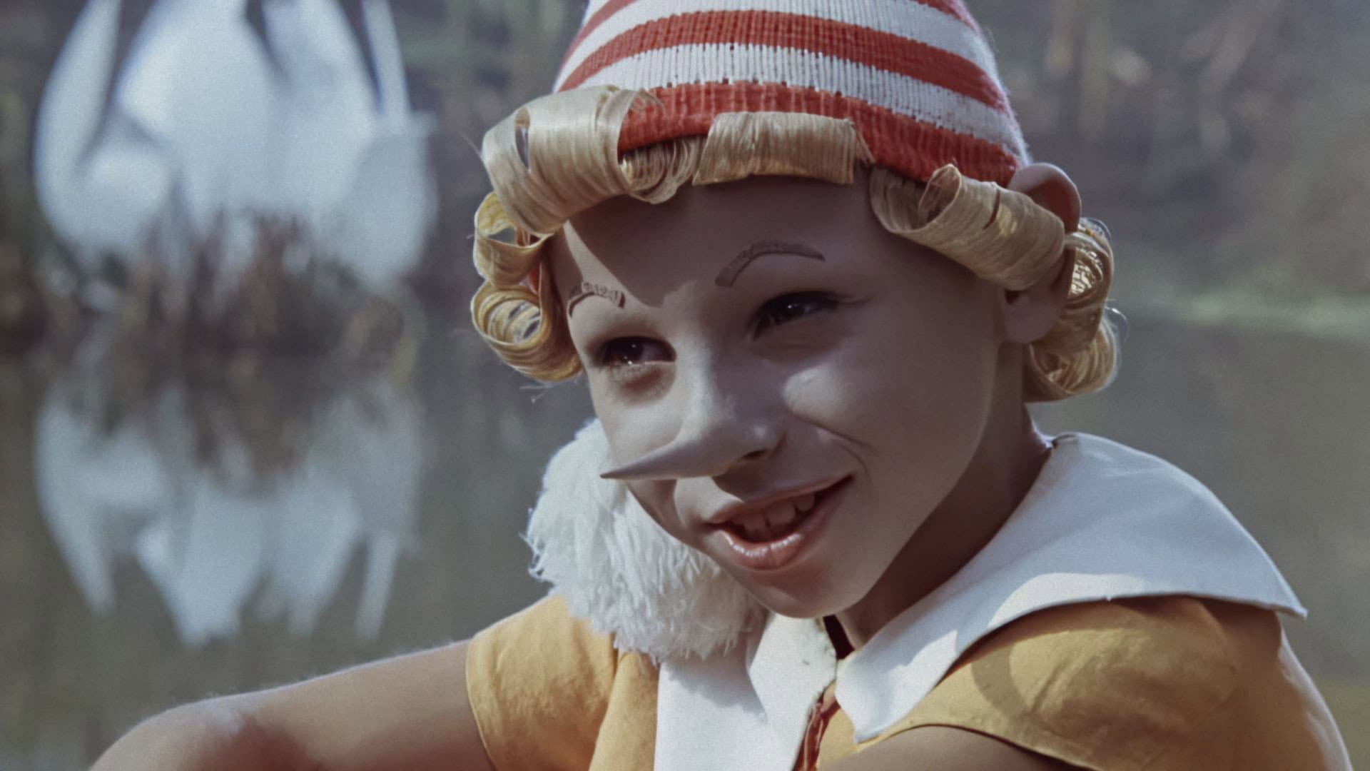 Le avventure di Pinocchio - immagine