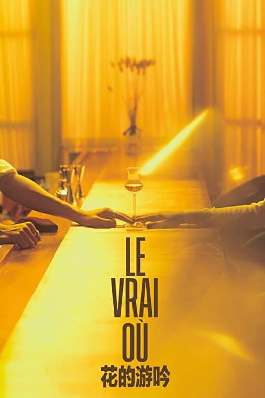 Poster di Le Vrai Où