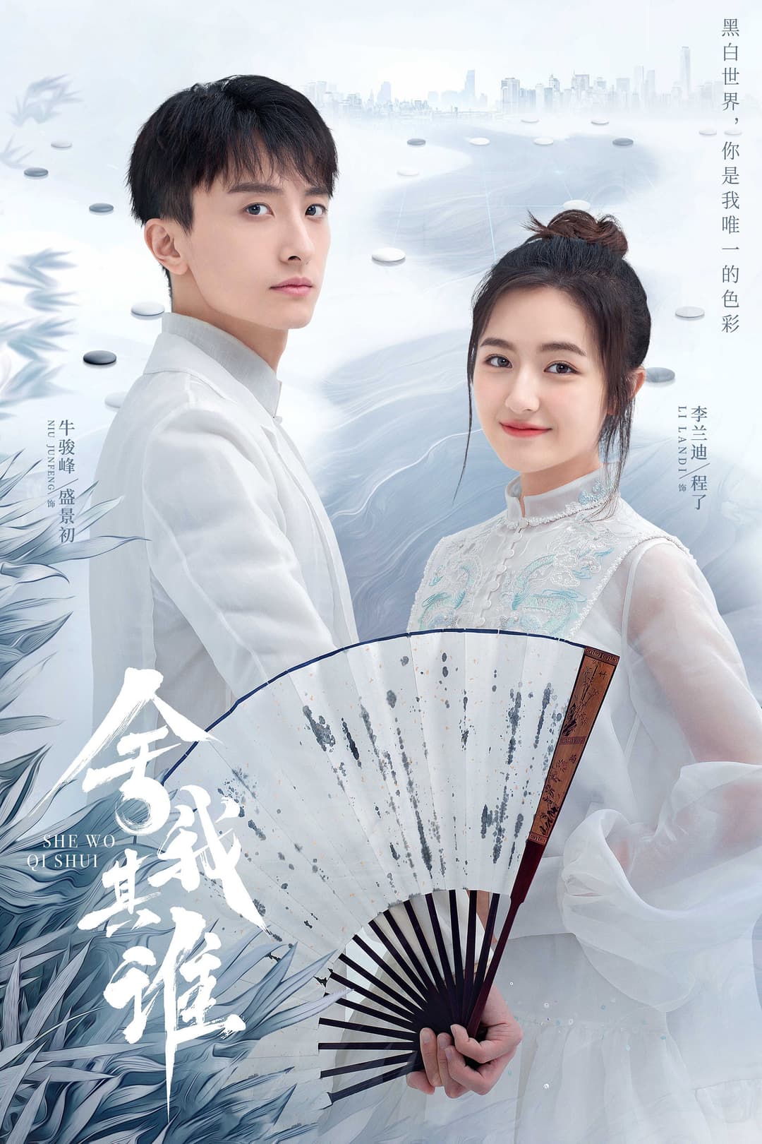 Poster di 舍我其谁