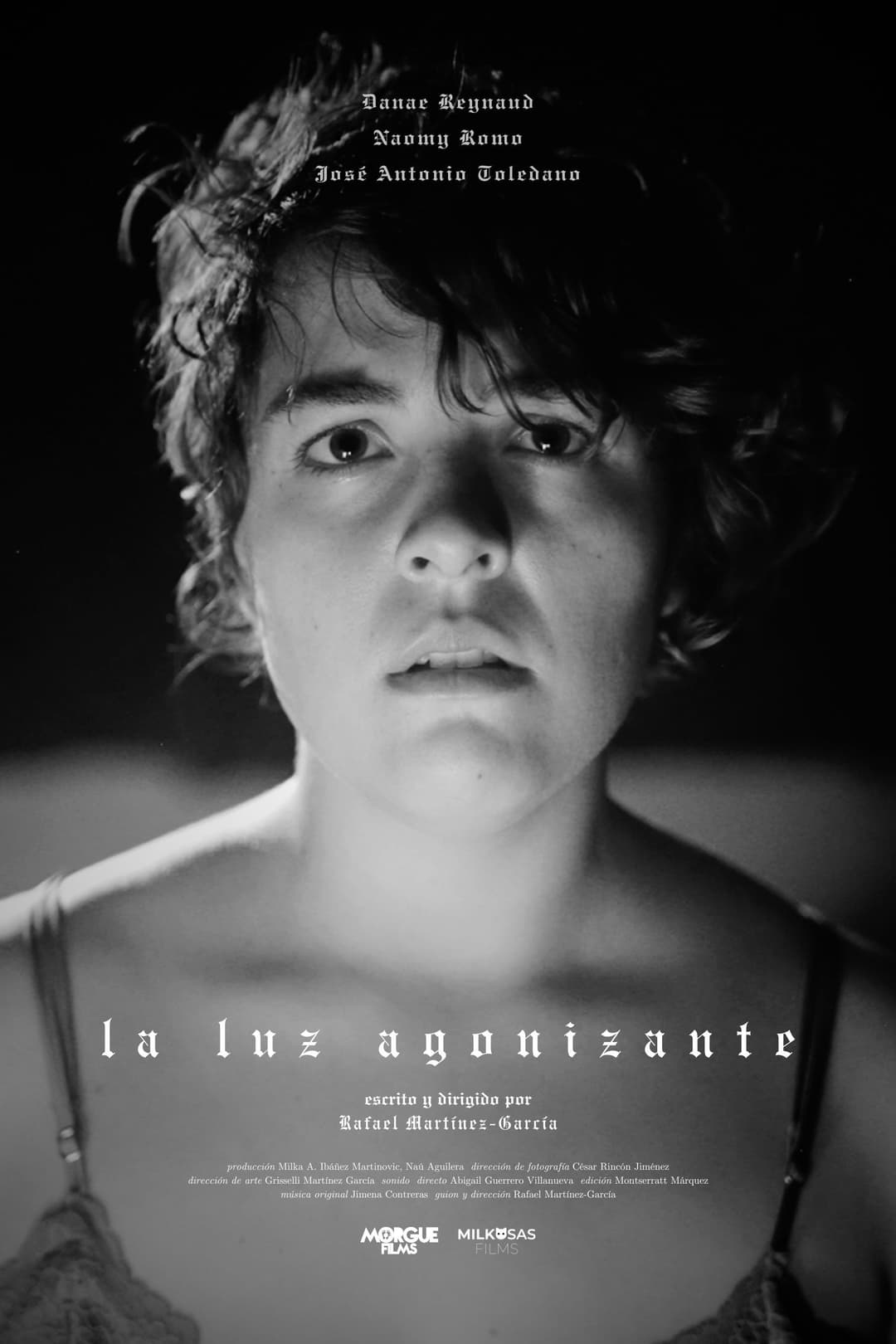 Poster di La luz agonizante