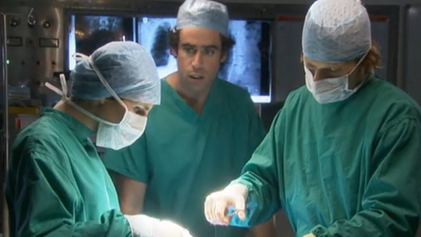 Green Wing Special - immagine