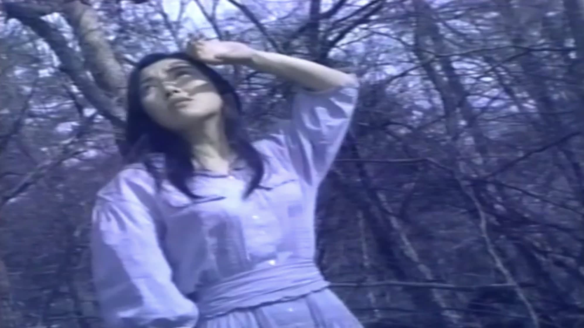 官能の森の美女 - immagine