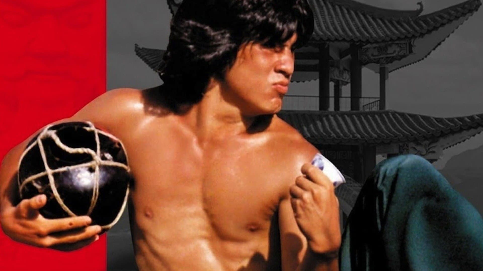 World of the Drunken Master - immagine