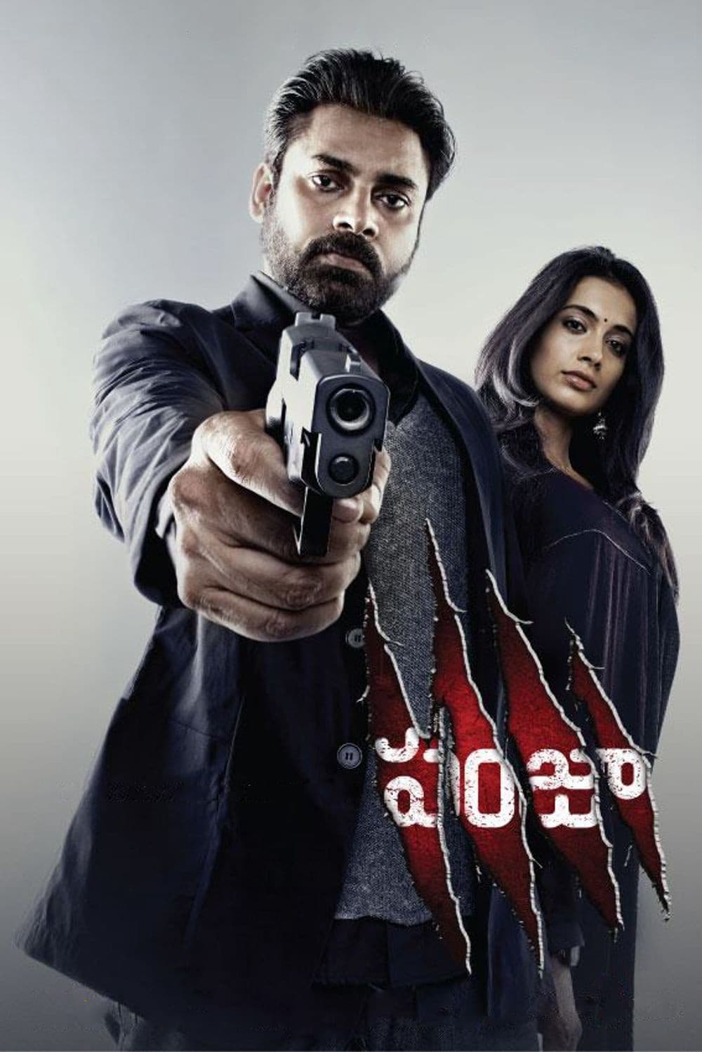 Poster di పంజా