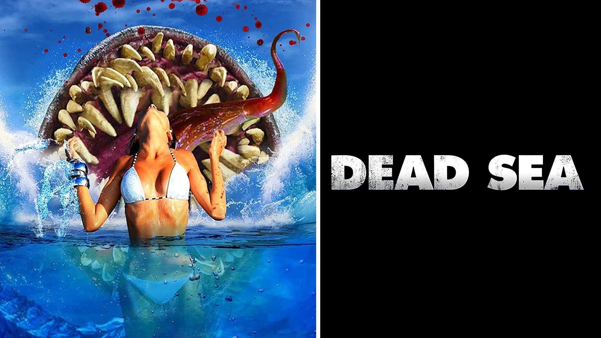 Dead Sea - immagine