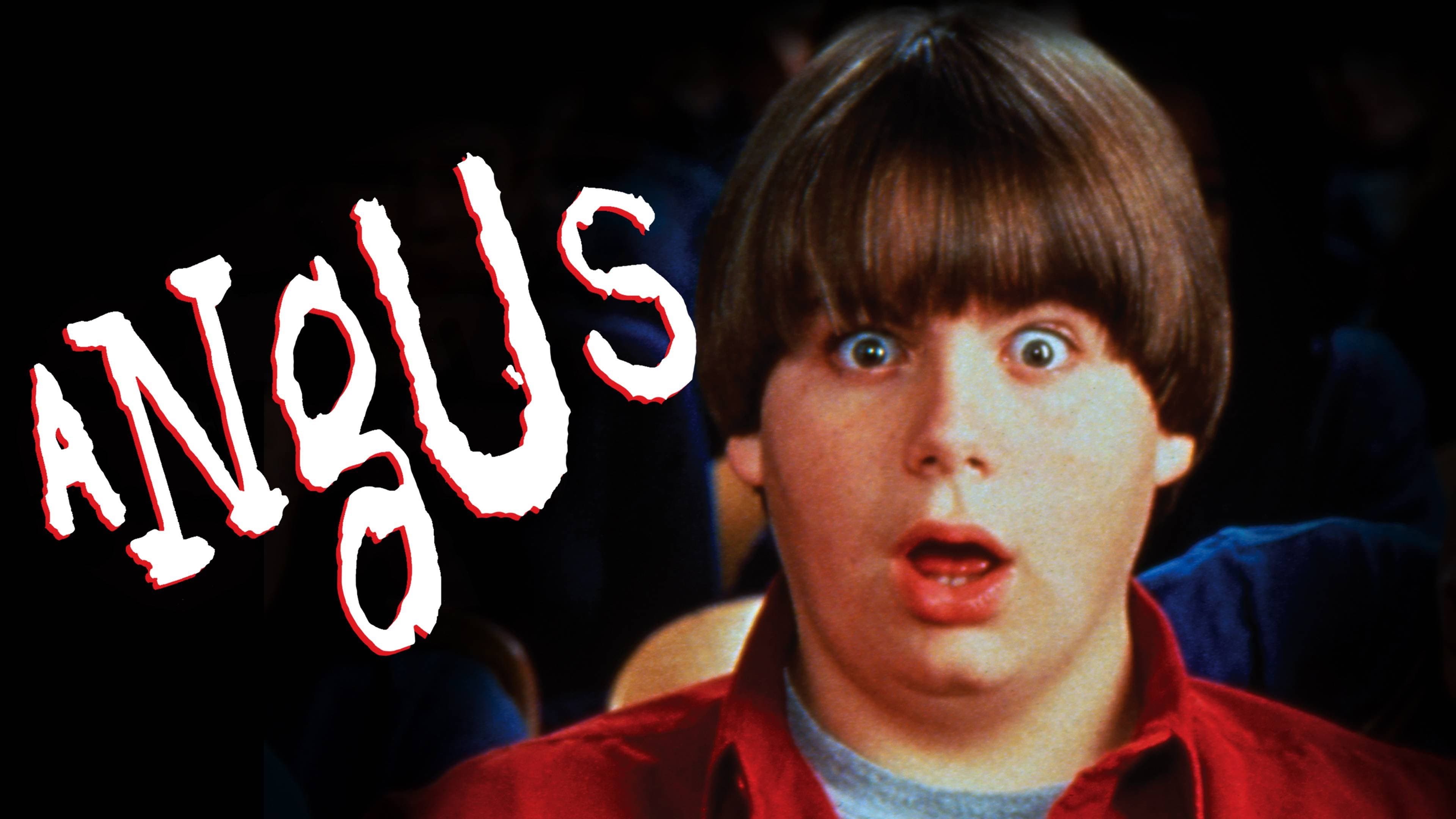 Angus - immagine