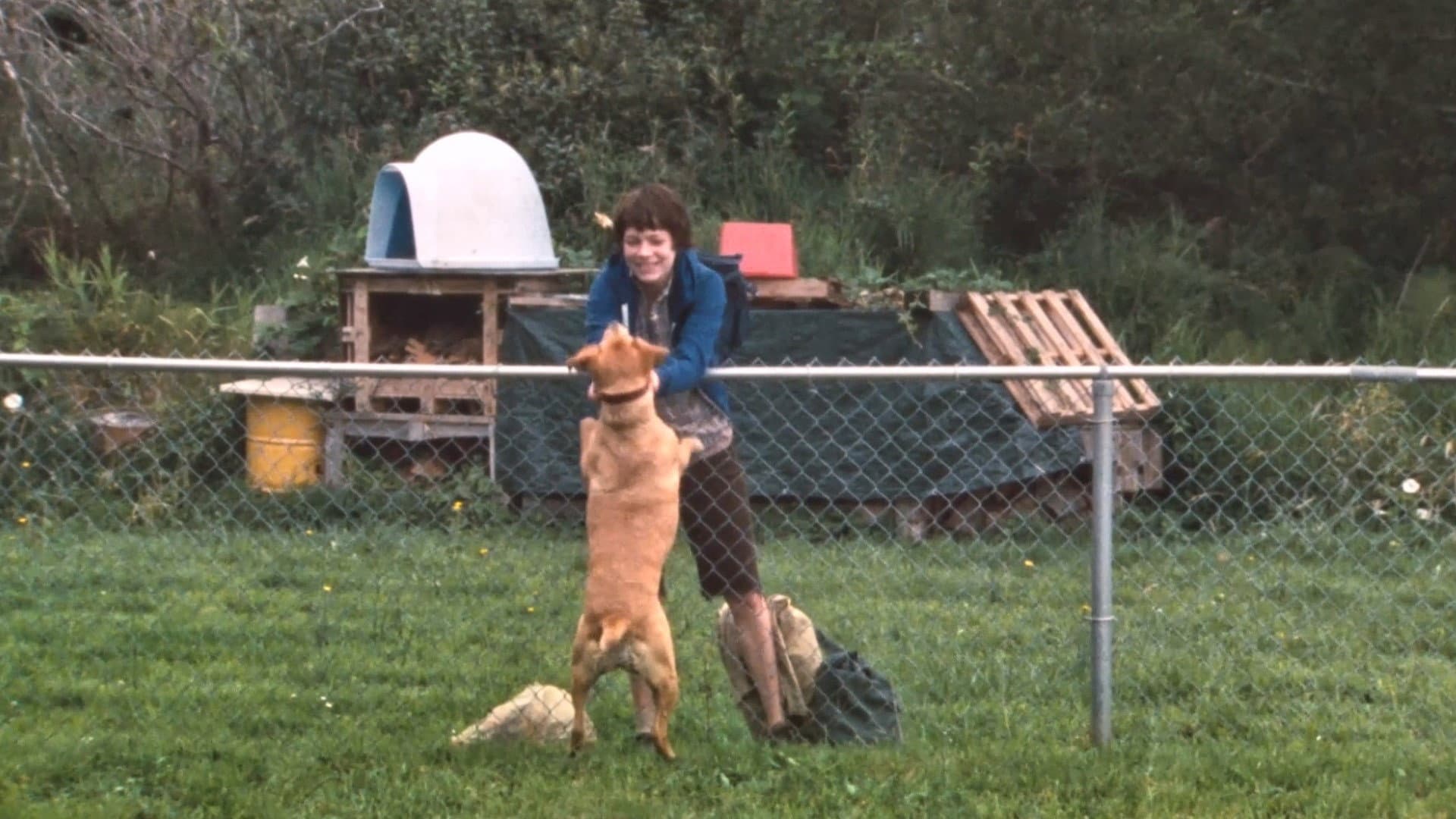 Wendy and Lucy - immagine