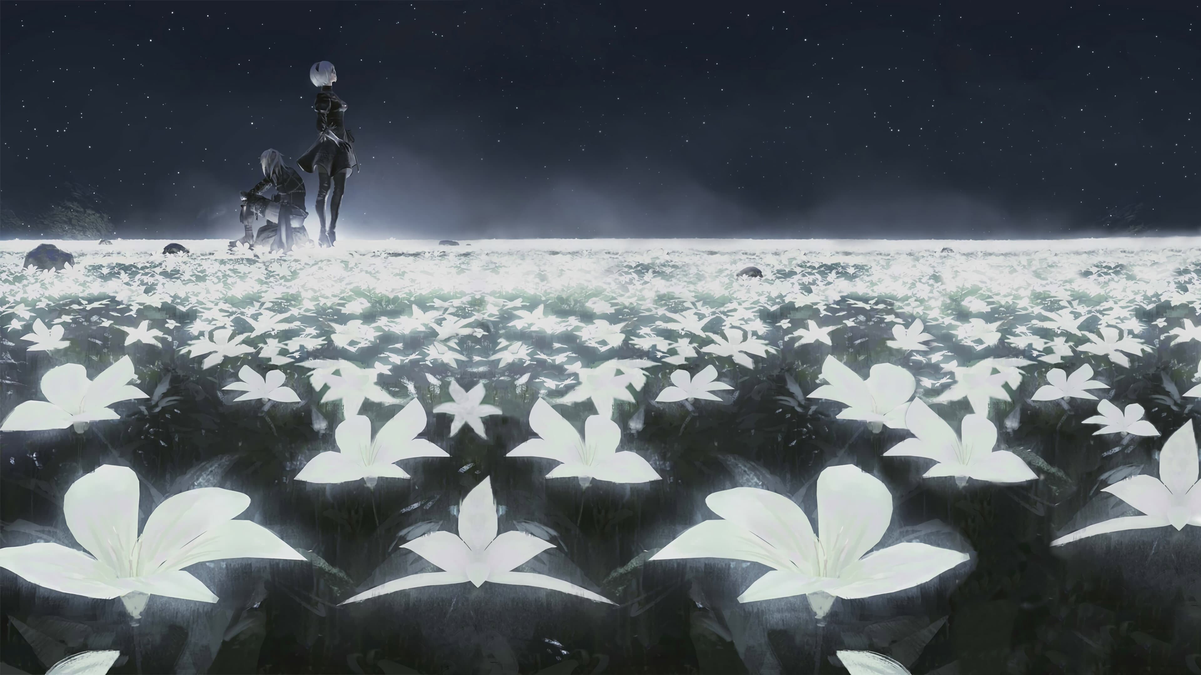 NieR: Orchestra Concert 12018 - immagine