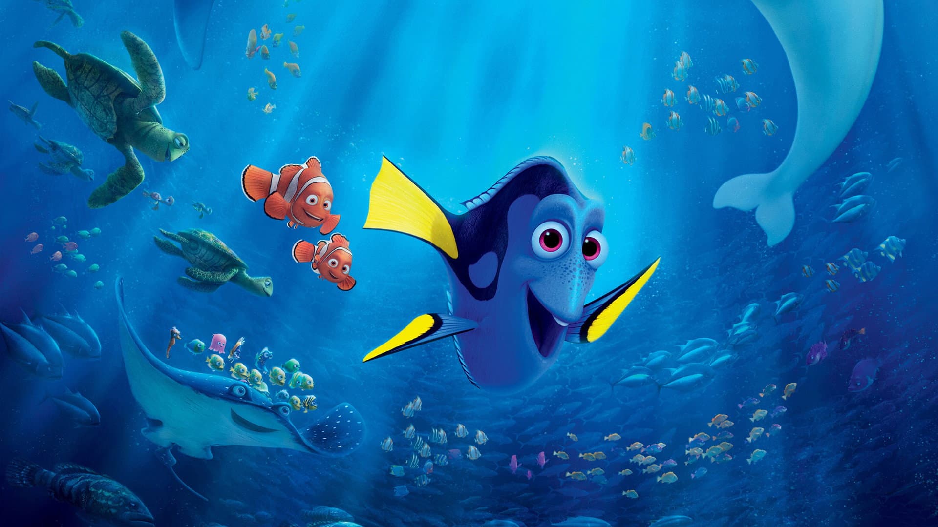Alla ricerca di Dory - immagine
