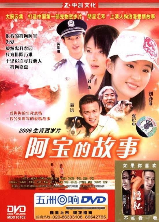 Poster di 阿宝的故事
