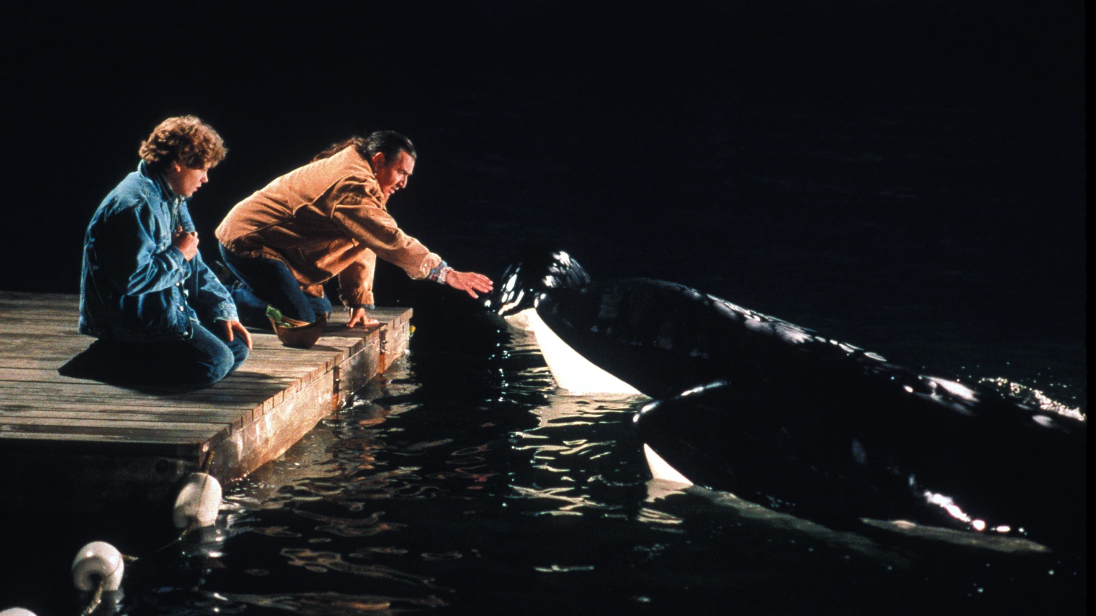 Free Willy 2 - immagine