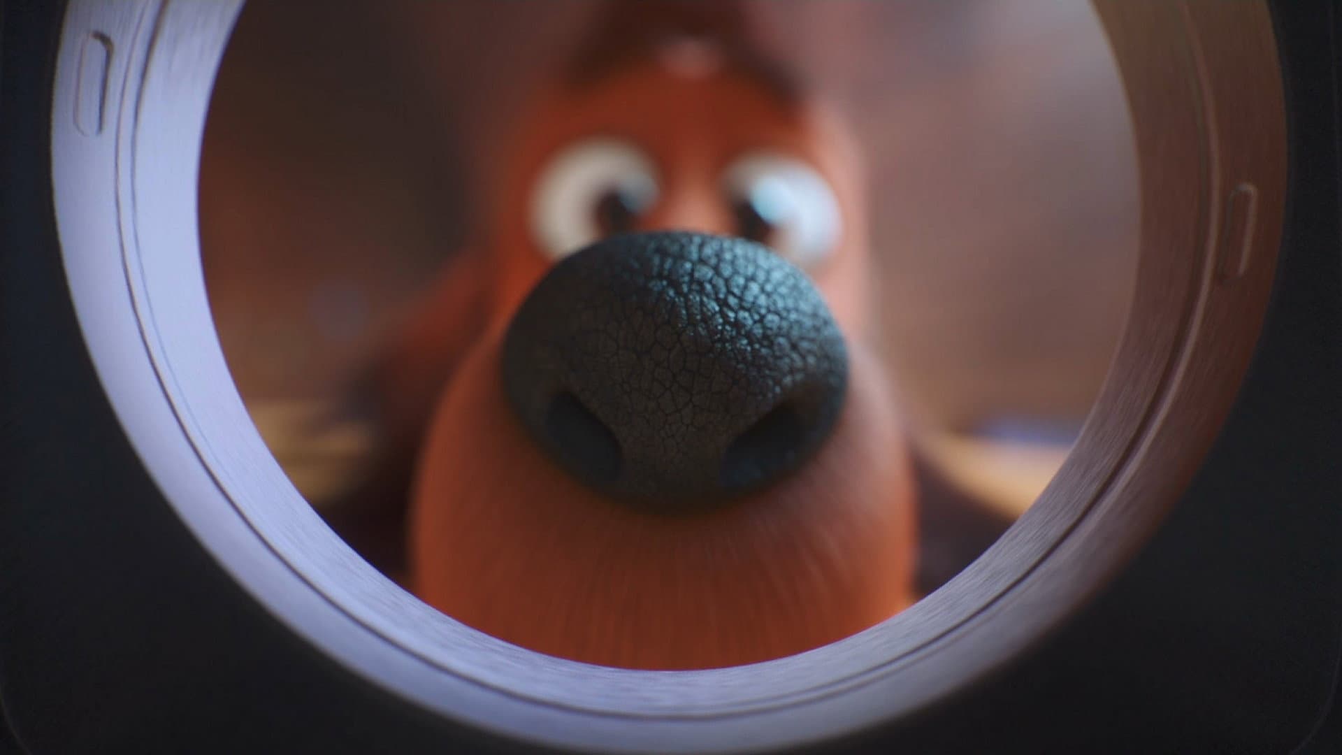 The Dog Days of Winter - immagine