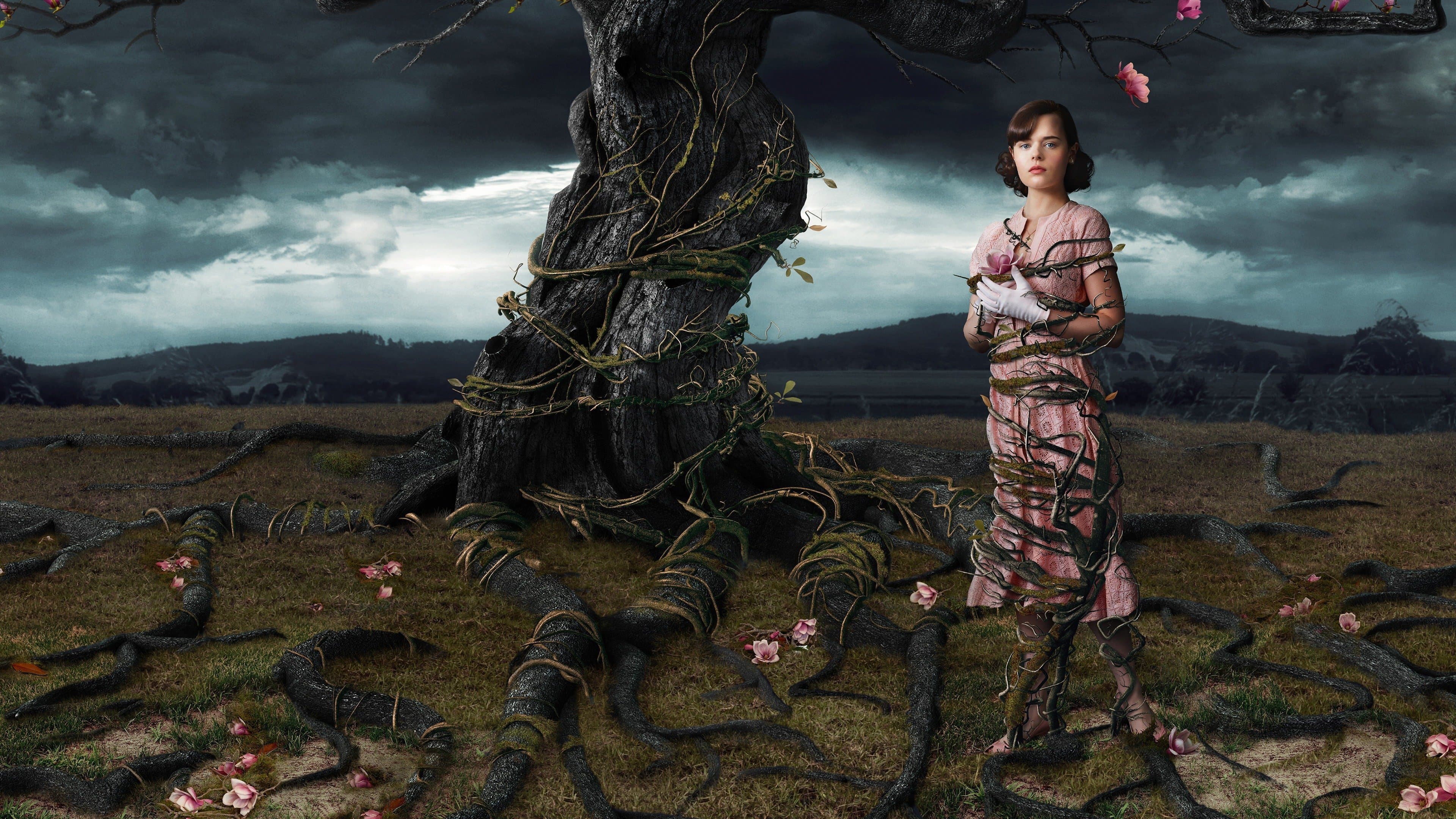 Web of Dreams - immagine