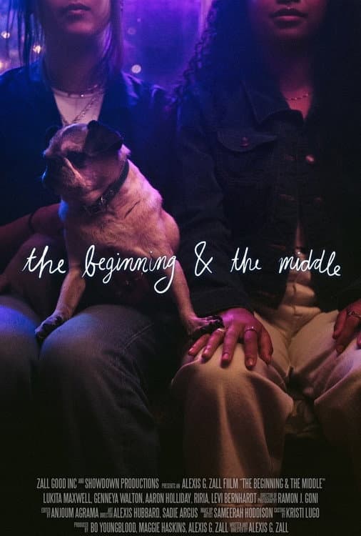 Poster di The Beginning & the Middle