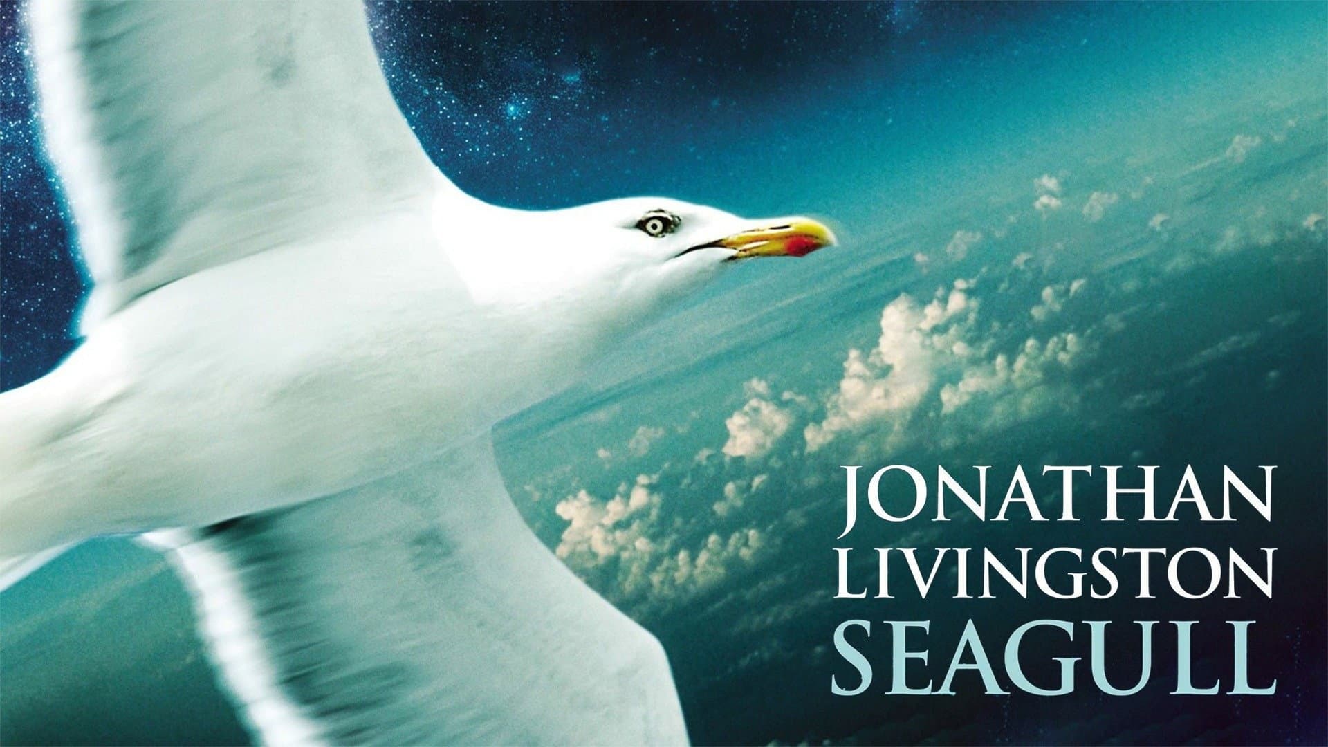 Il gabbiano Jonathan Livingston - immagine