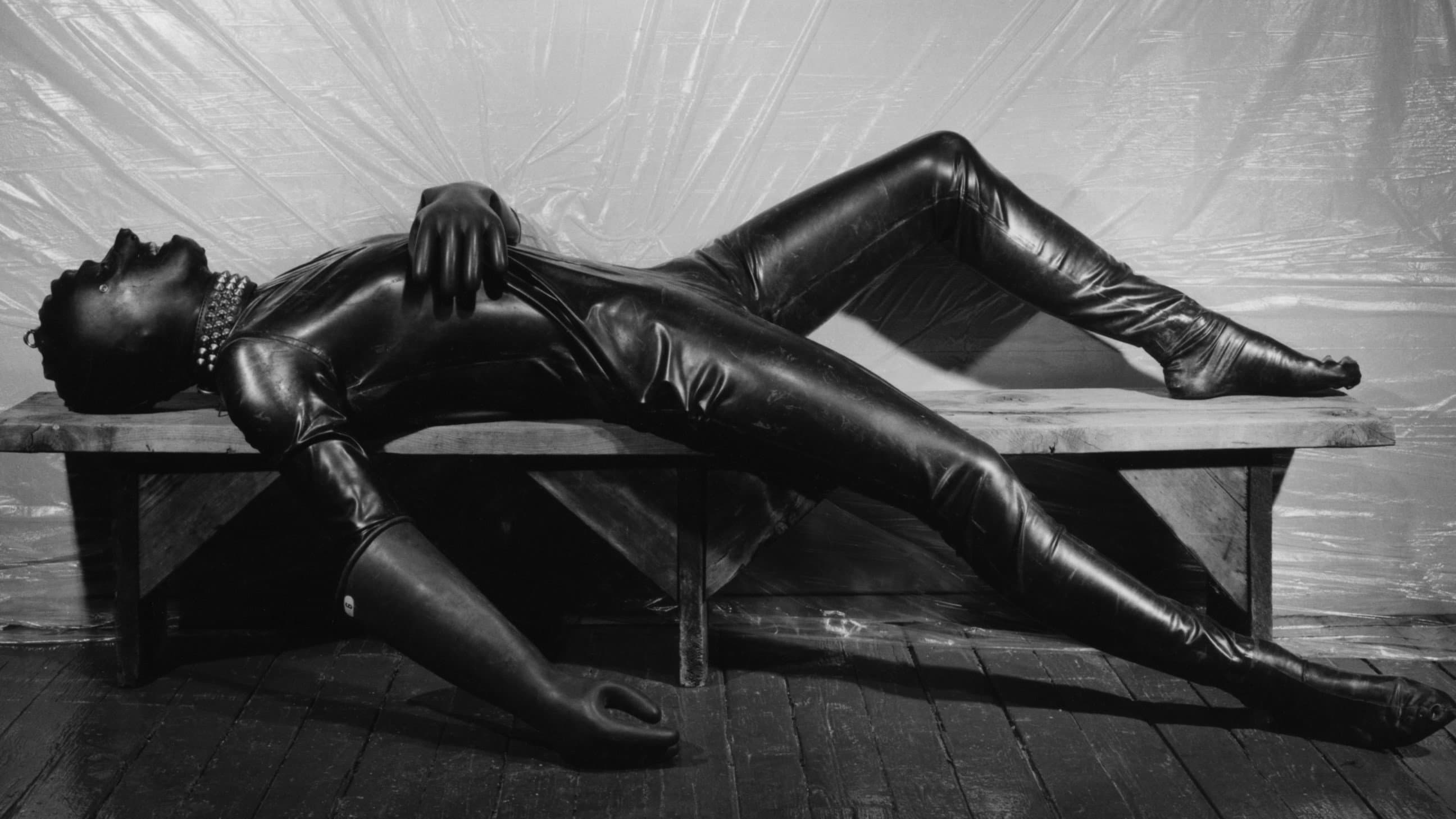 Mapplethorpe: Look at the Pictures - immagine