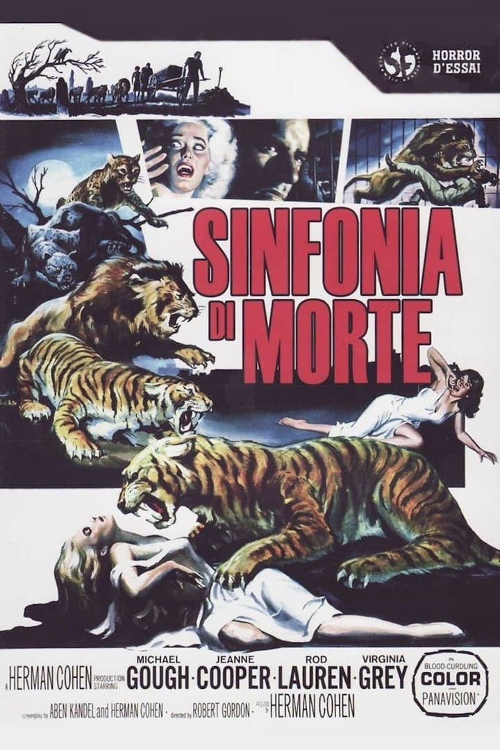 Poster di Sinfonia di morte