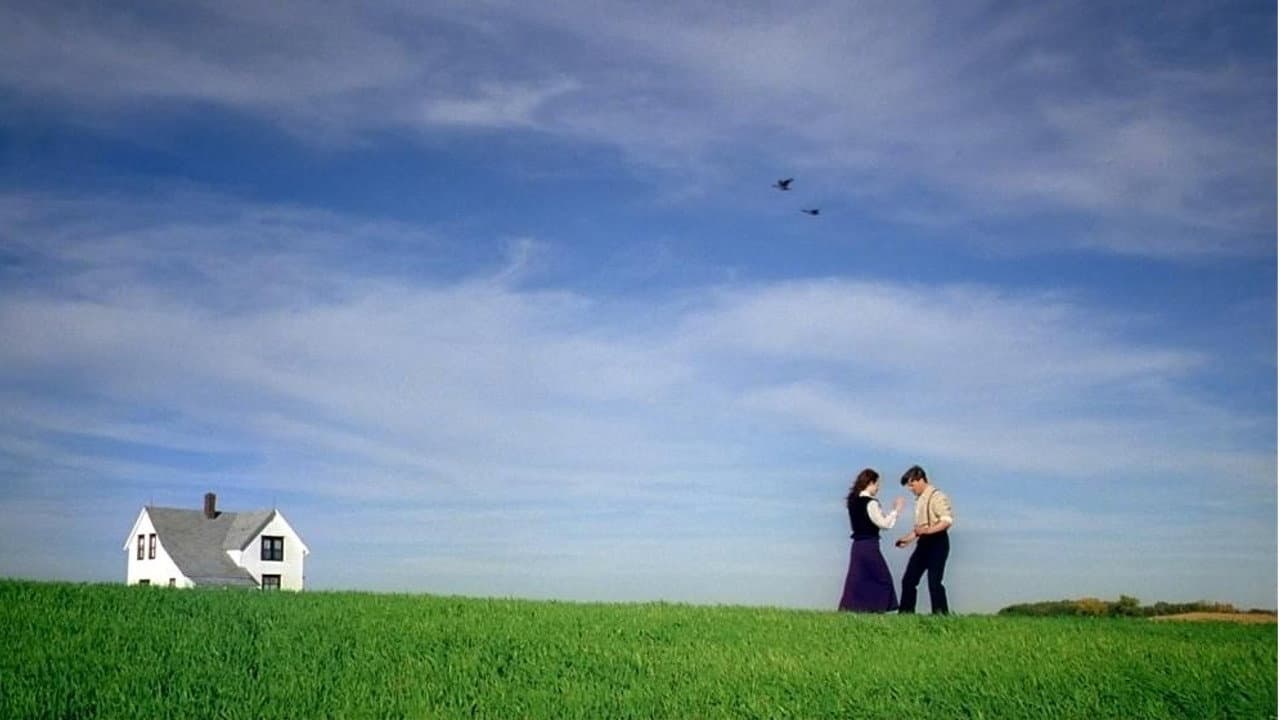 Sweet Land - immagine