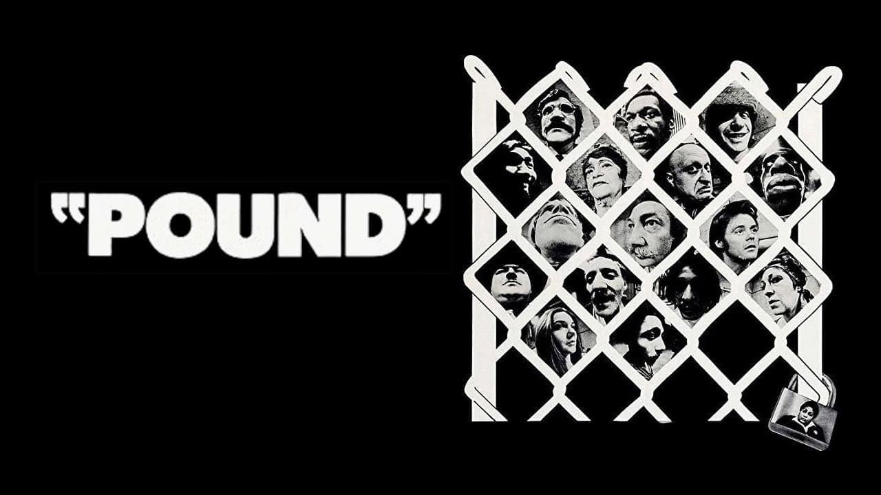 Pound - immagine