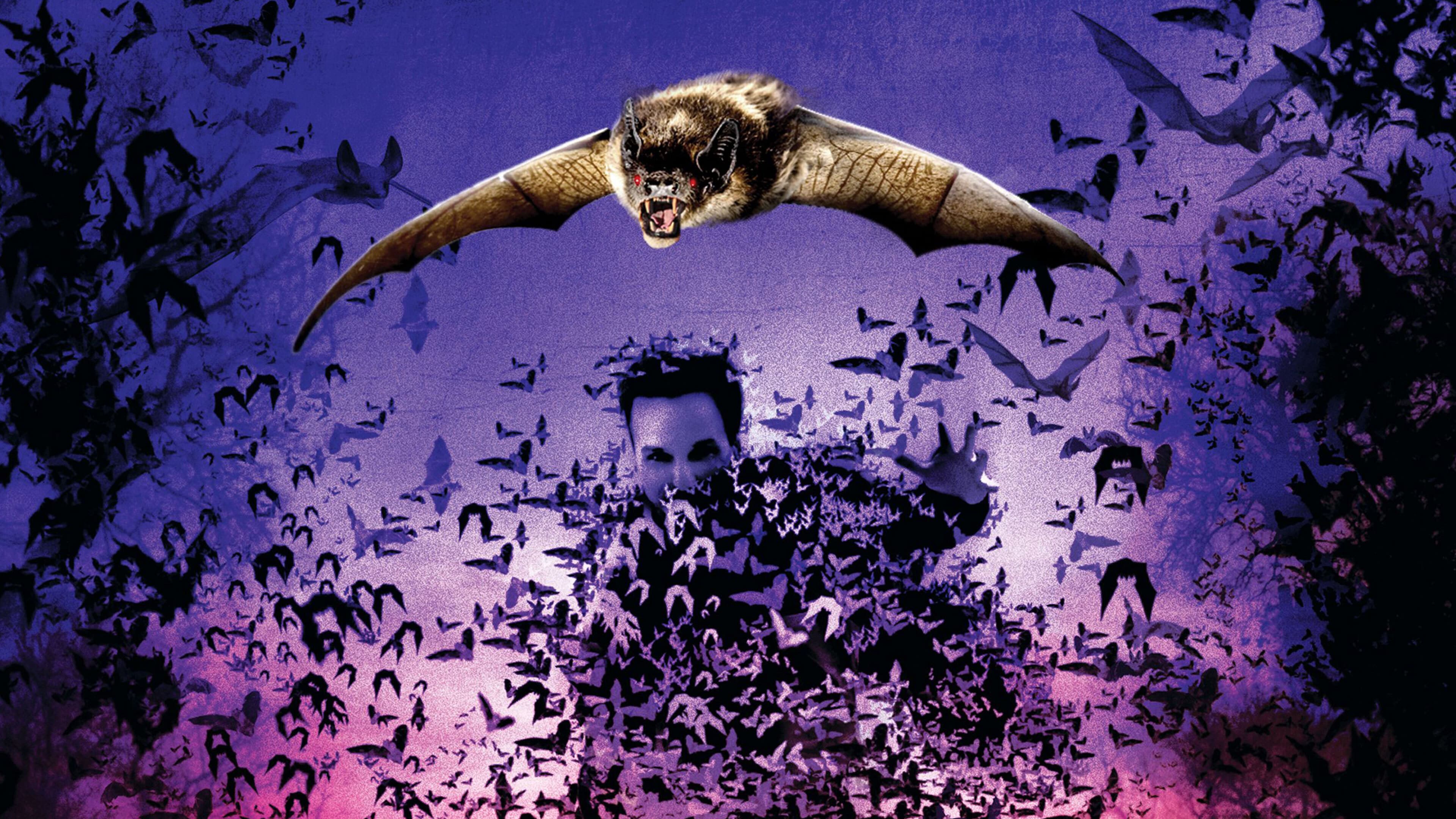 Bats 2 - immagine