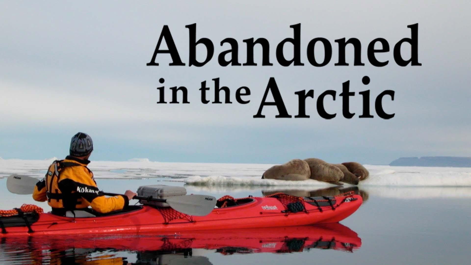 Abandoned in the Arctic - immagine