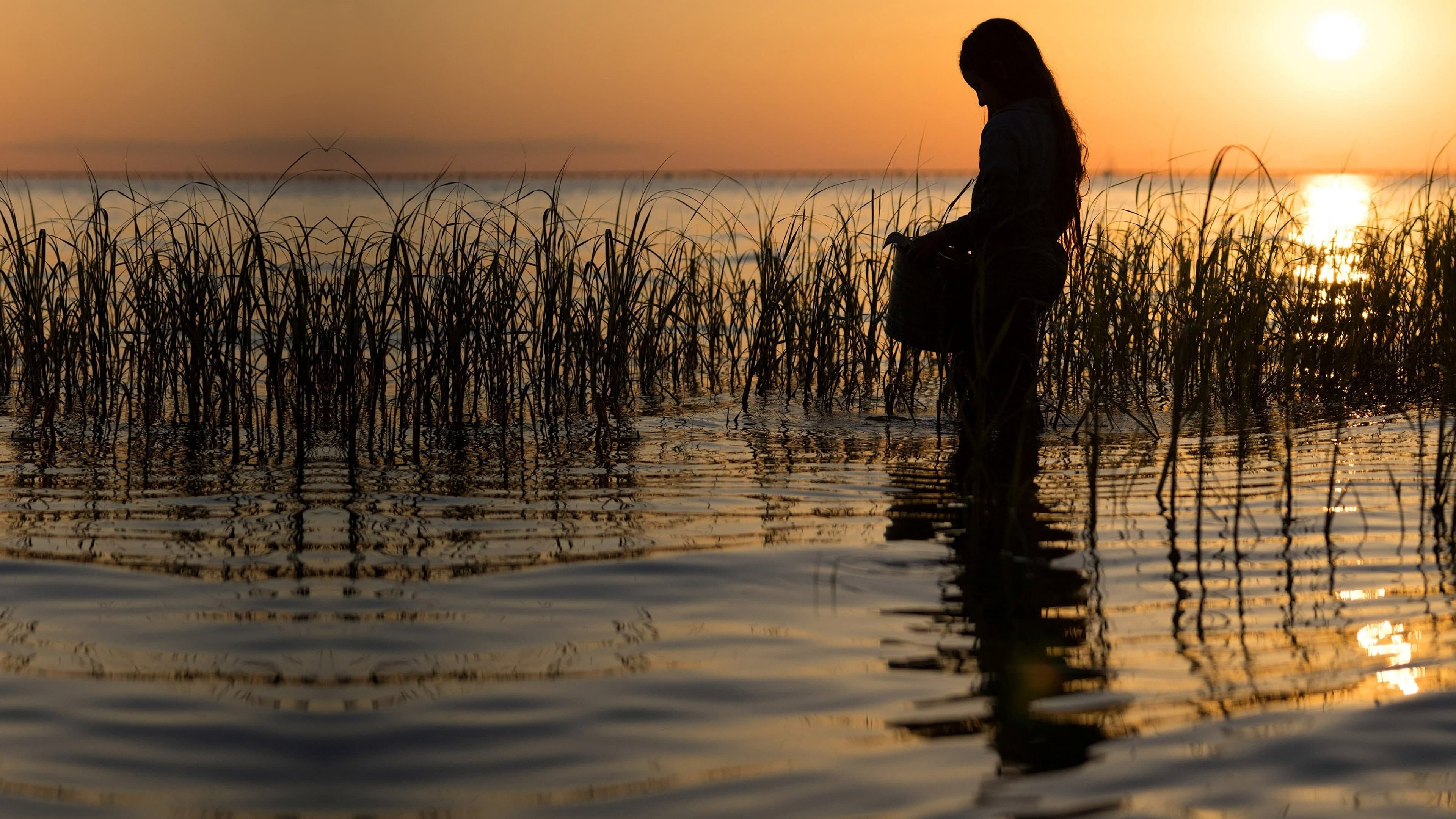 La ragazza della palude - immagine